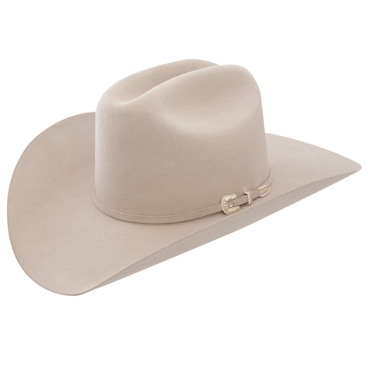 Chapeau Cowboy Skyline Silverbelly Lapin 6X STETSON