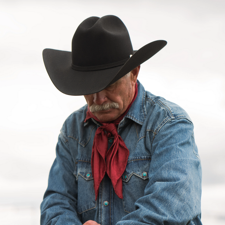 Chapeau de Cowboy El Presidente 100X STETSON