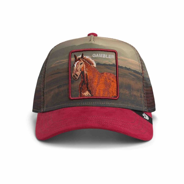 Casquette Trucker Stallion in the element GOORIN BROS.