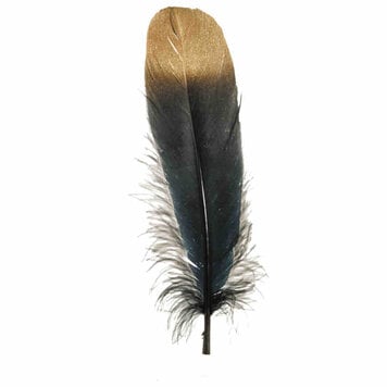 Goose Hat Feather