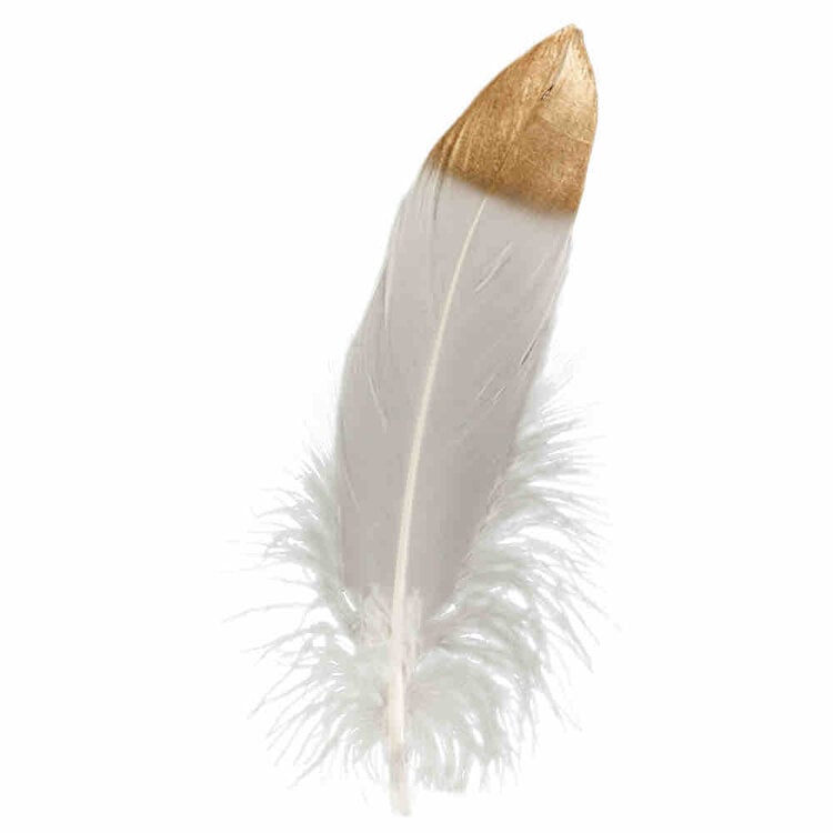 Goose Hat Feather AMERICAN HAT
