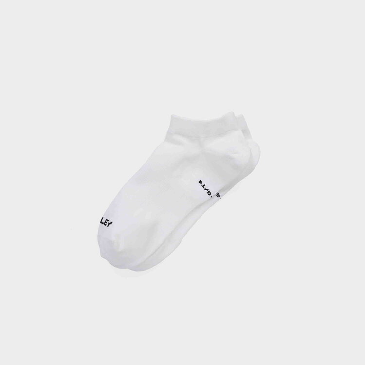Travel No Show Sock
