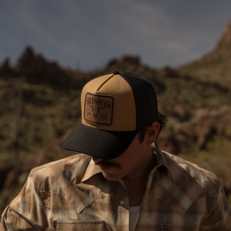 Longhorn Patch Tru STETSON