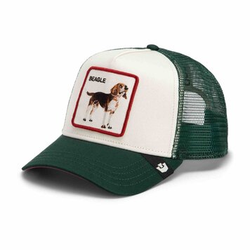 Shadow Beagle