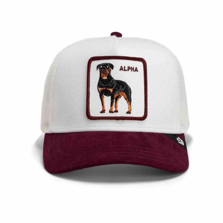 Suede Alpha trucker cap GOORIN BROS