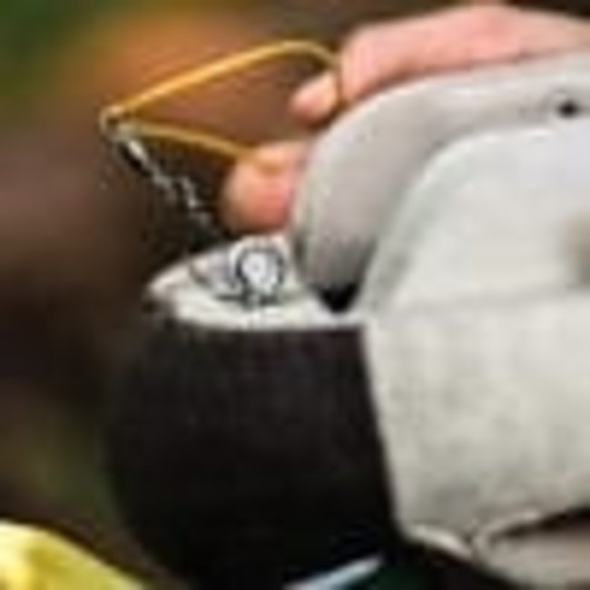 Heyday Outdoors HydroFoam Flocked Mallard 6 Pack