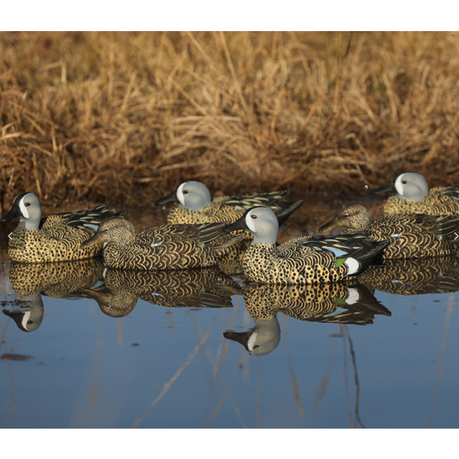 Heyday Outdoors FlexFloat Blue Winged Teal 6 pack