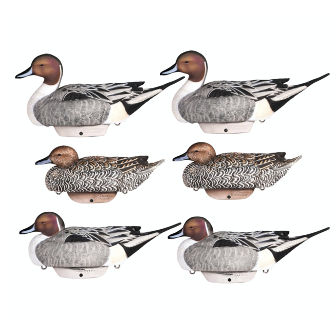 Heyday Outdoors Flexfloat Pintail 6 Pack