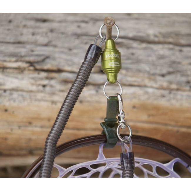 Fishpond Confluence Net Release - Lichen