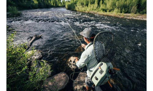 Fly Fishing