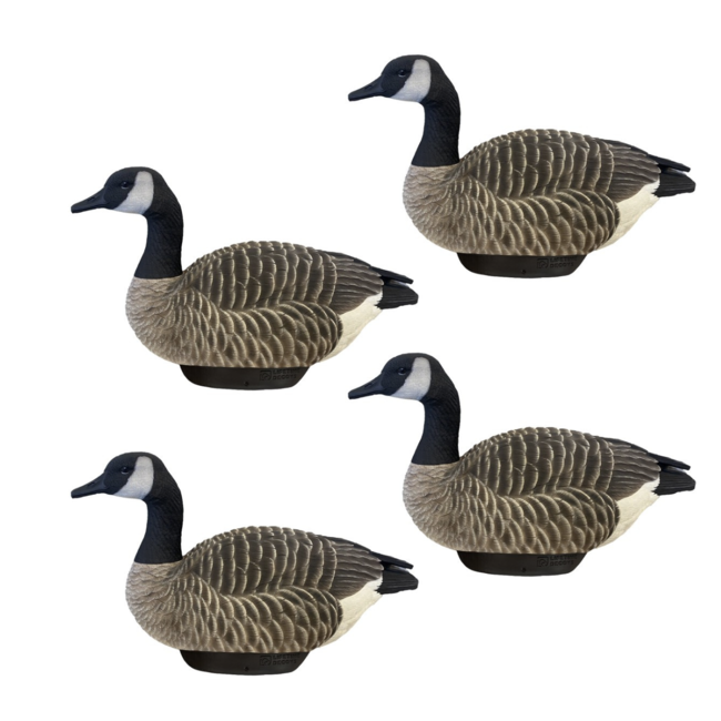 Heyday Outdoors HydroFoam Canada Goose Flocked Head 4 Pack