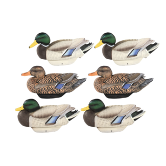 Heyday Outdoors HydroFoam Mallards 6 Pack
