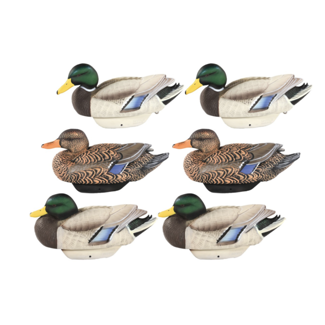 Heyday Outdoors HydroFoam Mallards 6 Pack