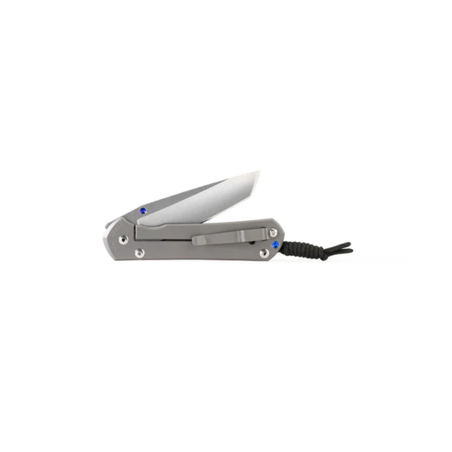 Chris Reeve Knives Small Sebenza 31 Plain Tanto