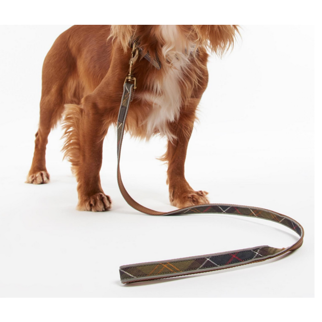 Barbour Barbour Reflective Dog Leash