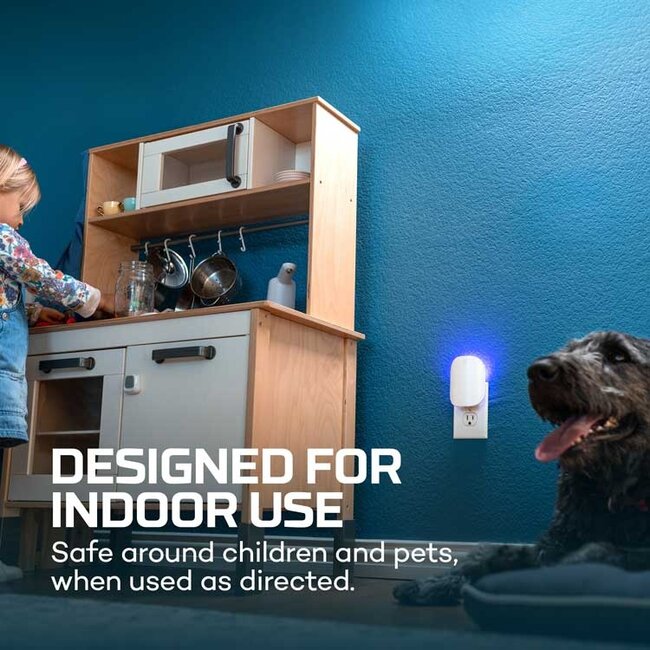 Indoor Flying Insect Trap Starter Kit