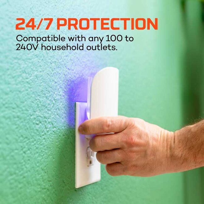 Indoor Flying Insect Trap Starter Kit