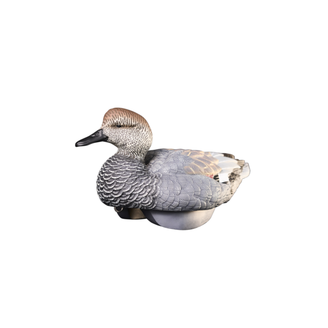 Heyday Outdoors HydroFoam Gadwall 6 Pack