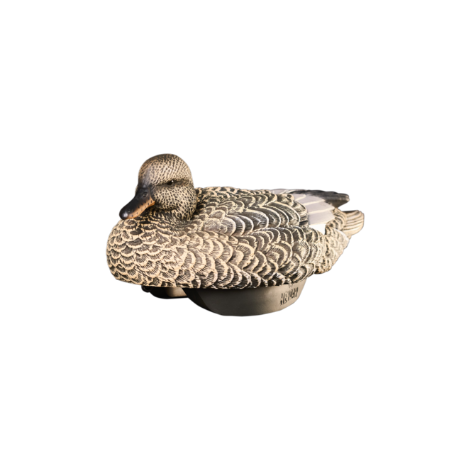 Heyday Outdoors HydroFoam Gadwall 6 Pack