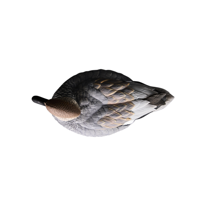 Heyday Outdoors HydroFoam Gadwall 6 Pack