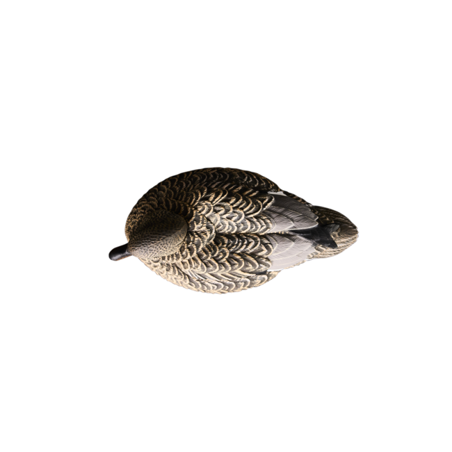 Heyday Outdoors HydroFoam Gadwall 6 Pack