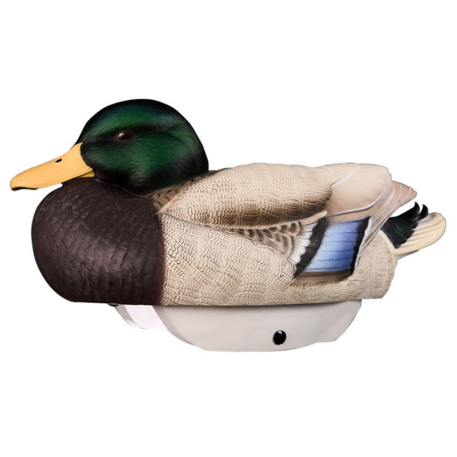 Heyday Outdoors HydroFoam Mallards 6 Pack