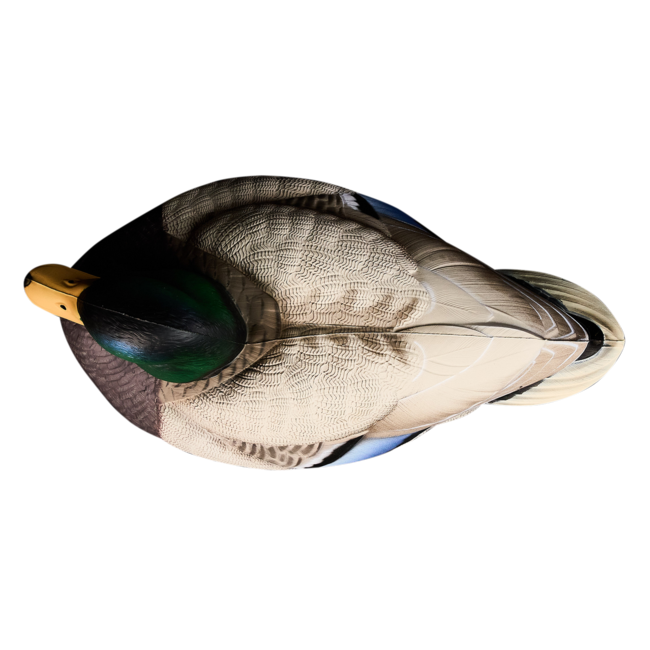 Heyday Outdoors HydroFoam Mallards 6 Pack