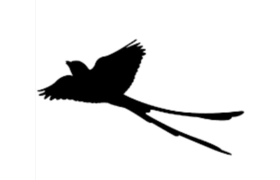 Scissortail Bladeworks