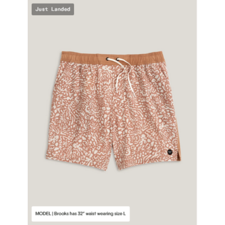 Free Fly Men's Palmera Elastic Boardshort