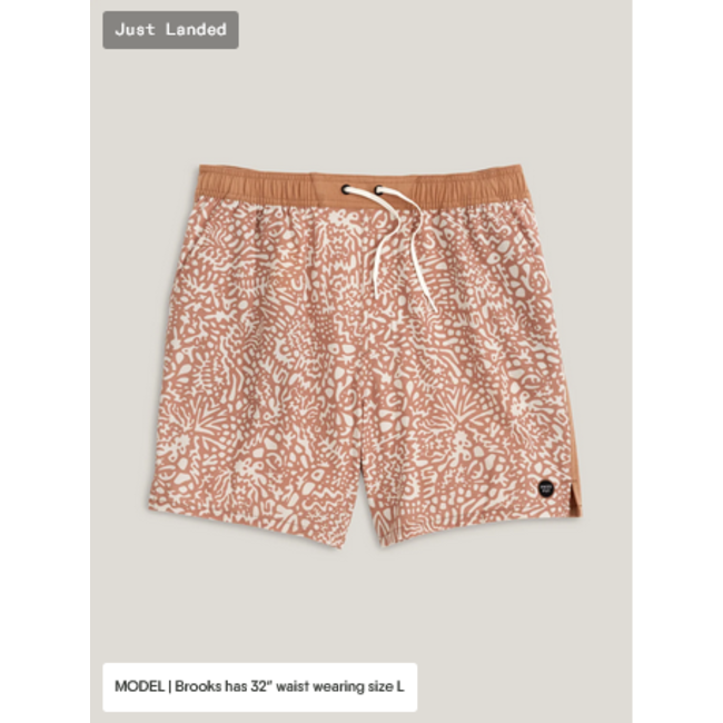 Free Fly Men's Palmera Elastic Boardshort