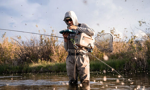 Fly Fishing