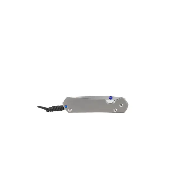 Chris Reeve Knives Large Sebenza 31 Plain Insingo (MagnaCut)