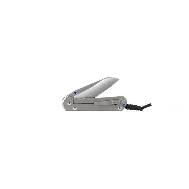 Chris Reeve Knives Large Sebenza 31 Plain Insingo (MagnaCut)