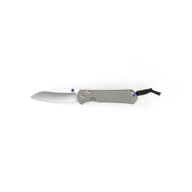 Chris Reeve Knives Large Sebenza 31 Plain Insingo (MagnaCut)