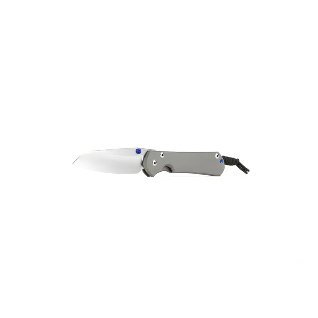 Chris Reeve Knives Large Sebenza 31 Plain Insingo (MagnaCut)