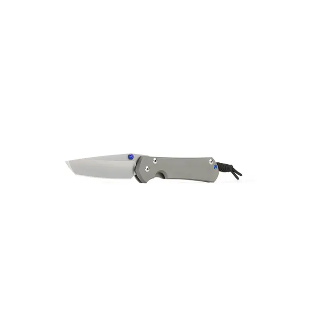 Chris Reeve Knives Large Sebenza 31 Plain Tanto Blade