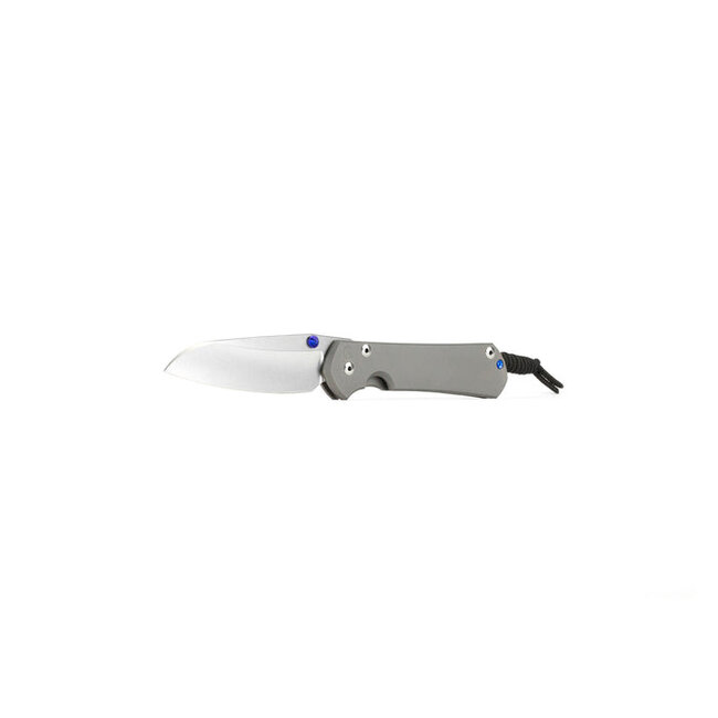 Chris Reeve Knives Small Sebenza 31 Plain Insingo