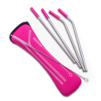 Abbott Pink | 4 Straws & Brush in Pouch