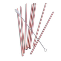 Abbott Rose | 8 Straight Straws & Brush