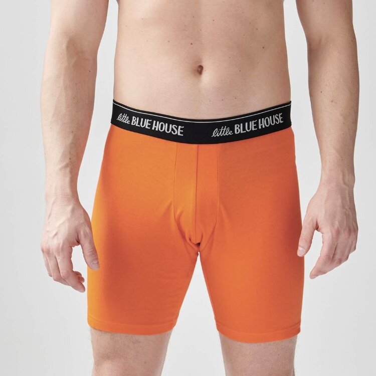 Little Blue House by Hatley Bait and Tackle | Boxer Brief