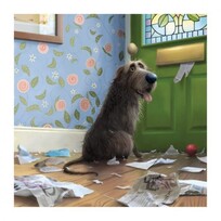 Toby the Dog Toby The Dog  Gets the Mail | Blank Greeting Card
