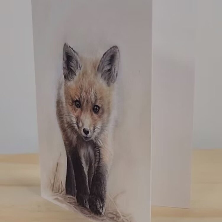 Crystal Clarke Animal Art "Curiosity" Fox Kit | Greeting Card