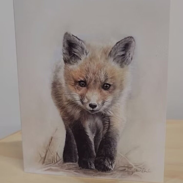 Crystal Clarke Animal Art "Curiosity" Fox Kit | Greeting Card