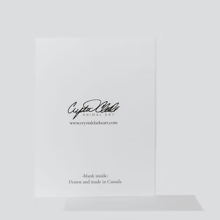 Crystal Clarke Animal Art  "Effie" Highland Cow | Greeting Card