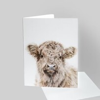Crystal Clarke Animal Art "Effie" Highland Cow | Greeting Card