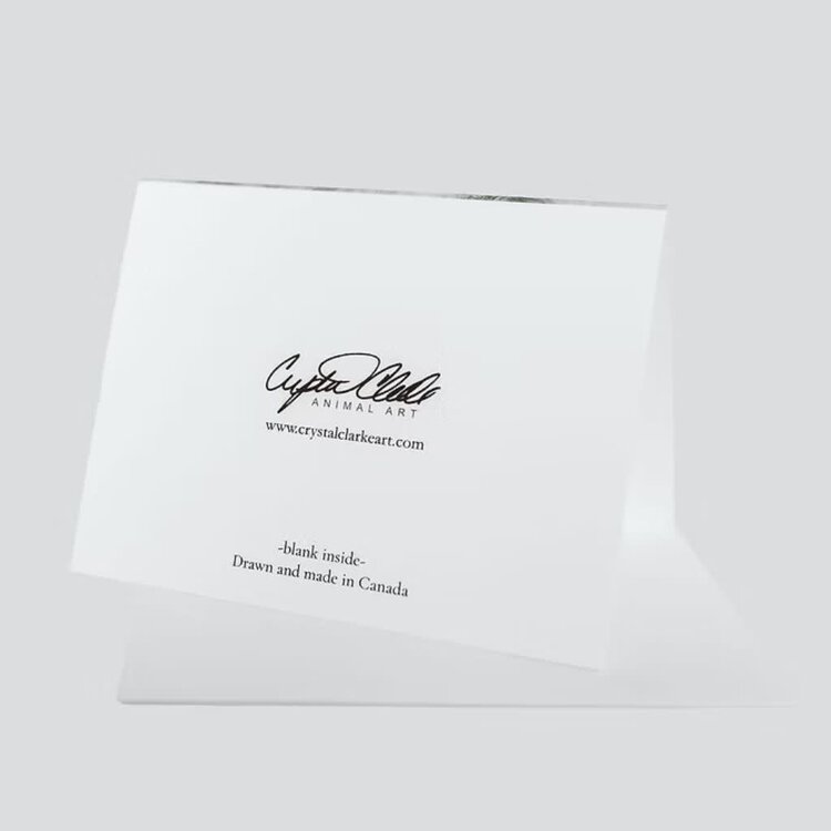 Crystal Clarke Animal Art "Fierce" Bear Cub | Greeting Card