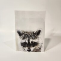 Crystal Clarke Animal Art "Little Bandit" Raccoon | Greeting Card