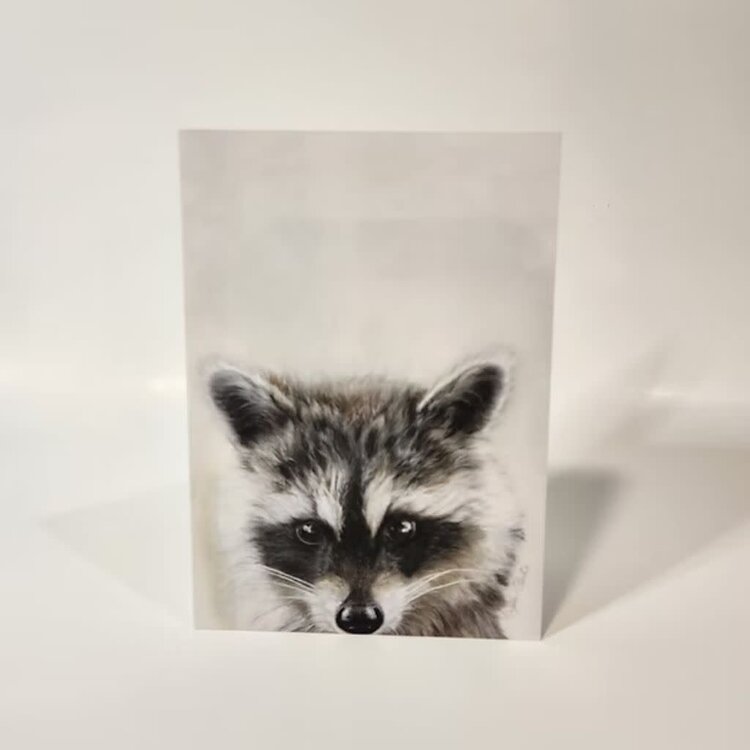 Crystal Clarke Animal Art "Little Bandit" Raccoon | Greeting Card