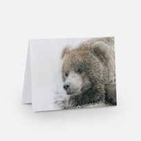 Crystal Clarke Animal Art "Poppa Bear" Grizzly | Greeting Card