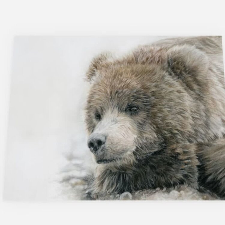 Crystal Clarke Animal Art "Poppa Bear" Grizzly | Greeting Card